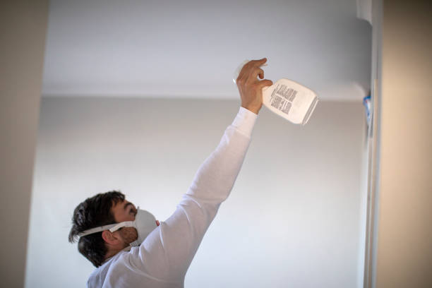 Best Mold Removal Process  in Crosby, ND