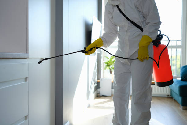 Best Home Mold Removal  in Crosby, ND