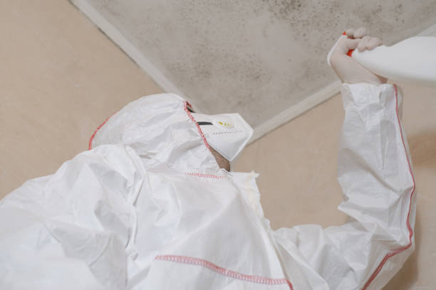 Mold Removal Process in Crosby, ND