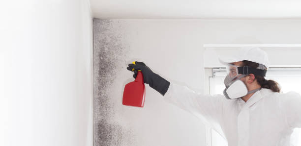 Best Mold Cleaning Services  in Crosby, ND