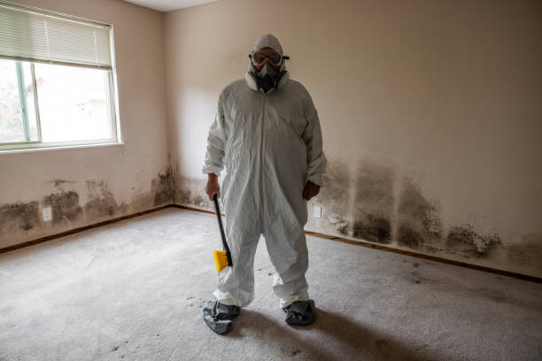 Best Mold Testing  in Crosby, ND